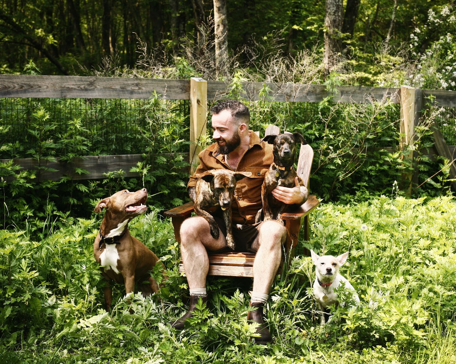 Liam Cudmore, LCSW, Psychotherapist and Founder of Queer Therapy NYC.
